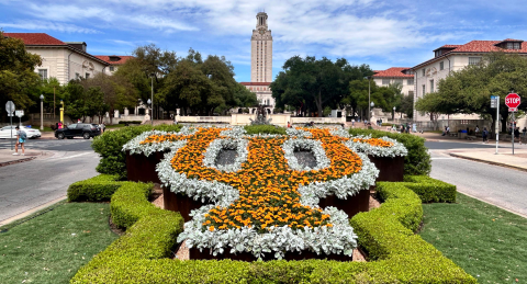 Tower building with flowers