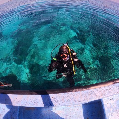 Mariana Rivera-Higueras wears black scuba gear and swims in the ocean water next to a boat's edge. She gives a thumbs up to the camera.