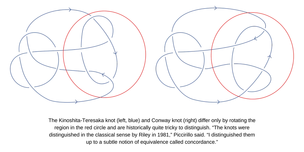 The Kinoshita-Teresaka knot and Conway knot