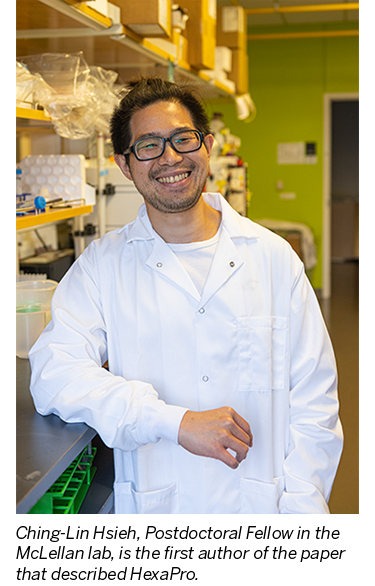 Postdoctoral Fellow in Lab