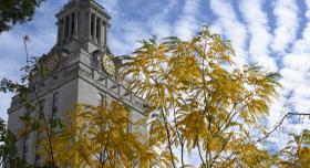 Tower building and fall leaves