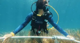 Underwater, Mariana Rivera-Higueras wears scuba gear. A blue scuba shirt reads "Brandl Lab Fish & Functions." She holds a large metal circle over some beige corals.