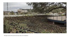 At the Meritage tree deck, tiny plants in black plastic containers are arranged on a dirt space around the Meritage deck to prepare for installation.