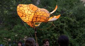Students fly a puppet of a golden snake's head in front of a large tree.