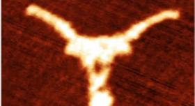 A tiny Longhorn symbol made of DNA appears as a bright orange shape against a red background.