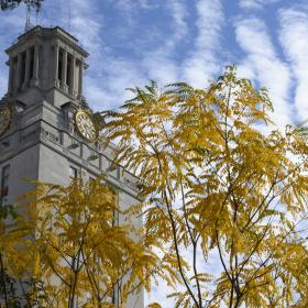 Tower building and fall leaves