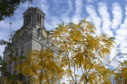Tower building and fall leaves