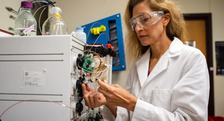 Jennifer Maynard, professor in the McKetta Department of Chemical Engineering at UT Austin