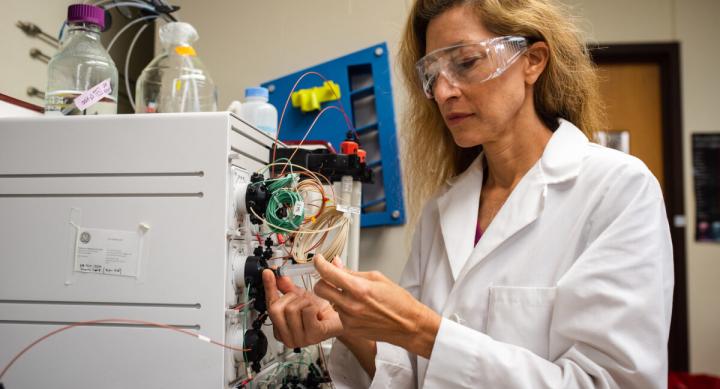 Jennifer Maynard, professor in the McKetta Department of Chemical Engineering at UT Austin