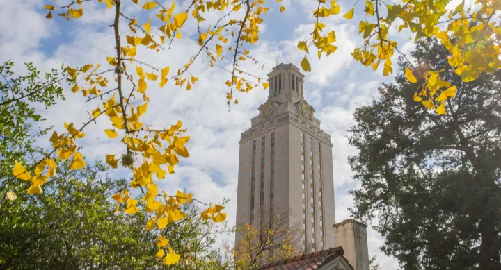 Tower through trees