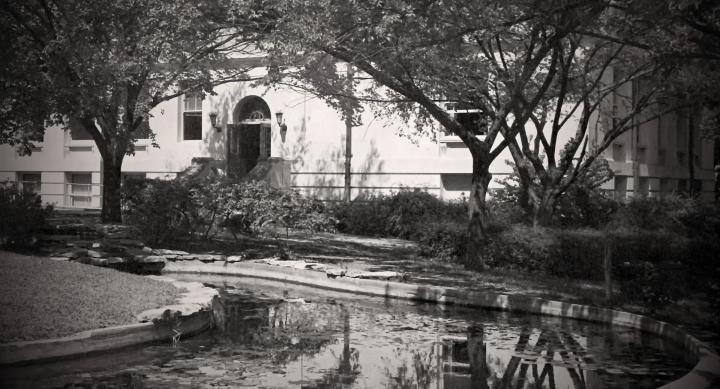 A black and white photo of a shallow pool covered in lily pads, surrounded by trees, in front of a UT-Austin campus building.