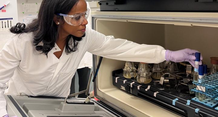 A woman wears clear safety glasses, a white lab coat, and purple gloves as she opens up a storage space, resembling an oven, for test tubes.