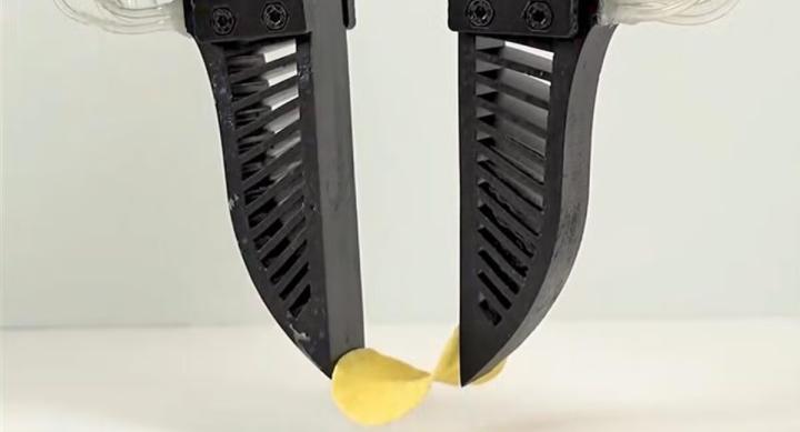 A robotic claw holds a potato chip.